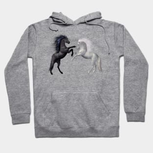 Horse duo Hoodie